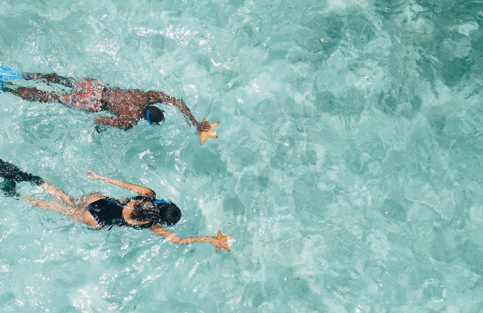 Couple swimming